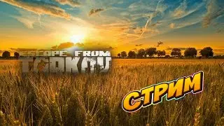 Стрим /  Escape From Tarkov / В поисках лута .