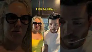 Fish be like… 