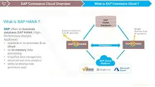 Deep Dive into SAP S4 HANA,  C4 HANA, and Commerce: Streamline Operations and Boost Business Success