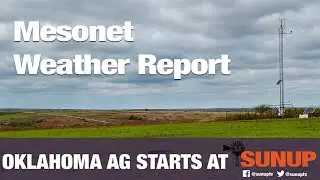 Mesonet Weather (2/16/19)