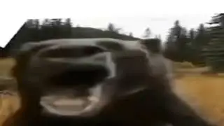 Медведь кричит аоаоао но это стоны копатыча