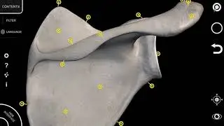 3D MEDICAL #4