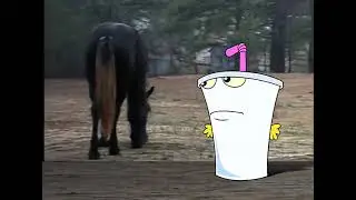 Welcome to this horses anus - Aqua teen hunger force