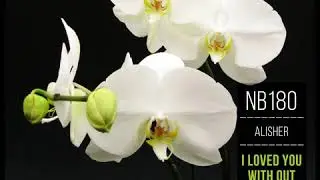 Alisher - I Loved You with out Reason (Original Mix)