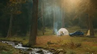 Forest Camp by the Stream