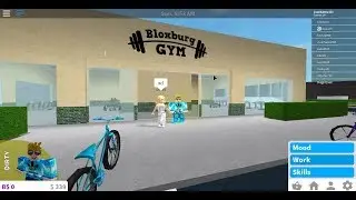 como colocar a un cuadro una imagen personalida (roblox-bloxburgo)