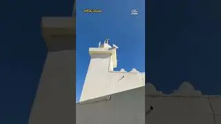 Ziyarat e Taif Masjid Addas مسجد عداس Nearly Makkah #shorts
