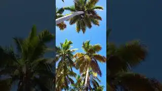 Playa El Viejo Oscar en Puerto Plata, República Dominicana