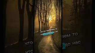 16 марта 2024 г.