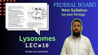 Lysosomes | Lysosomes structure and function | class 11