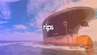 epic day jet skiing with sea lions & cargo ships in Long Beach