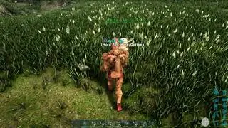 How to spawn a little and big Ferox