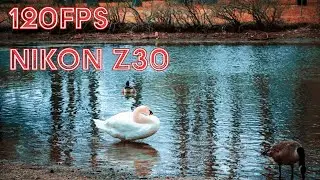 Capture The Action In Stunning Slow Motion With Nikon Z30's 120fps Feature!