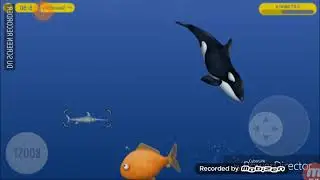 Рыба жрет