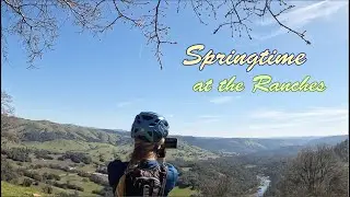 #shorts Springtime at the Ranches