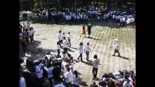 Semmelweis Gólyatábor 2010