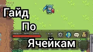 Гайд По Ячейкам/Curse of Aros #6