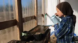 Greenhouse Seed Starting vs. Direct Sowing