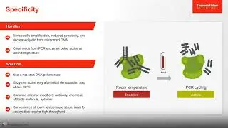 Avoiding hurdles in molecular assay development