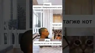 кот из Америки #мемы #рек #ржака #мелстройврек