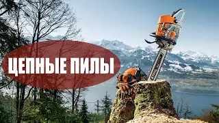 Что обязательно нужно знать о цепной пиле