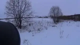 Охота на зайца 27 12 2015 г  Обнаружил вылазки бобра в лес за кормом