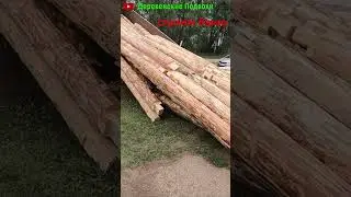 строим баню #семья #деревенскаяжизнь #банясвоимируками