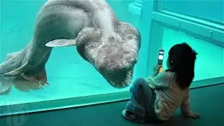 Ancient Creatures That Are Still Alive