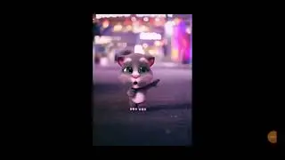 Маленький том танцует!