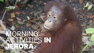 PART 3 - JOSS AND BONDAN AT JERORA FOREST SCHOOL!