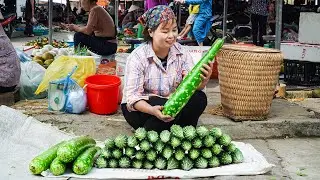 Tiểu Lâm's Hardworking Life: Harvesting Gourds and Selling at the Market | Lý Tiểu Lâm