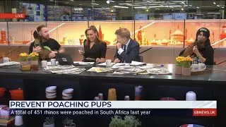 Dogs 4 Wildlife LIVE on GB News Breakfast show 🎬