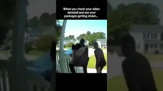 Porch Pirates!