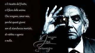 José Saramago: 