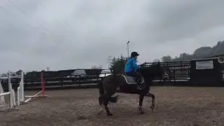 Horse falls and fails 4