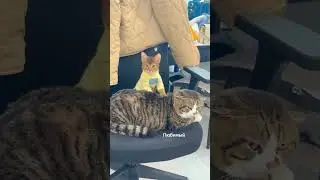 Готовимся к 8 марта!