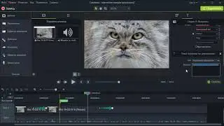 Создание и использование викторин (опросов) в Camtasia Studio 9