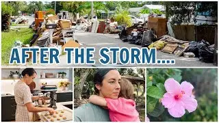 The Aftermath of Storm Debby in Sarasota | Daily Life & Updates  | Lynette Yoder