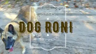 DOG RONI