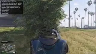 Amazing Stunt (Grand Theft Auto Online)