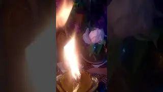 Огни алтаря Живиной ночи (ритуал кологод)