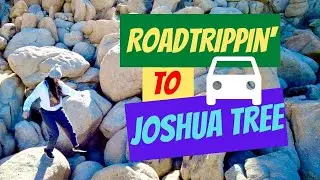 Road Trip to Joshua Tree National Park
