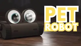 Meet DOLY: Your AI-Powered Companion Robot