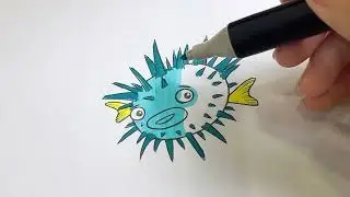 Coloring picture of a spiny toadfish