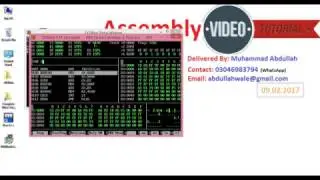 nasm assembly windows (Net-wide Assembler) Installation
