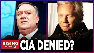 Assange Lawyer EXCORIATES CIA for UNCONSTITUTIONAL SURVEILLANCE of Client’s Attorneys