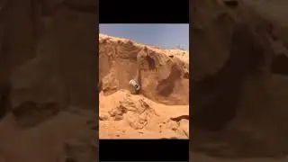 ВИДЕО С НЕОЖИДАННОЙ КОНЦОВКОЙ, КОТОРУЮ НЕ ОЖИДАЛИ😳