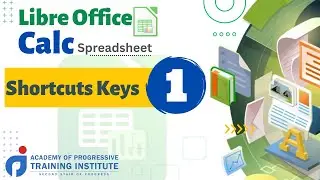 Libre Office Calc -Shortcut Keys-1st || CCC Course In Hindi || CCC Chapter 30 || APT Institute