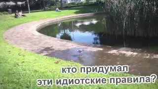 Чапленский степ Chaplensky step)   ThisIsHorosho