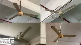 National and Panasonic Industrial Ceiling Fans | 2024 Update | Public Sighting